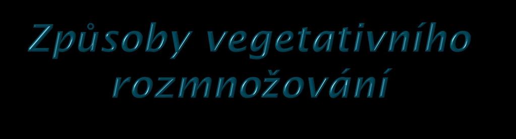 šlahouny dlouhými výrůstky, na konci odnože = sazeničky (jahodník) cibulemi (česnek, tulipán) oddenky (sasanka, pýr) hlízami (brambor, jiřina) kořenovými pupeny (maliník) hřížením větev ohneme