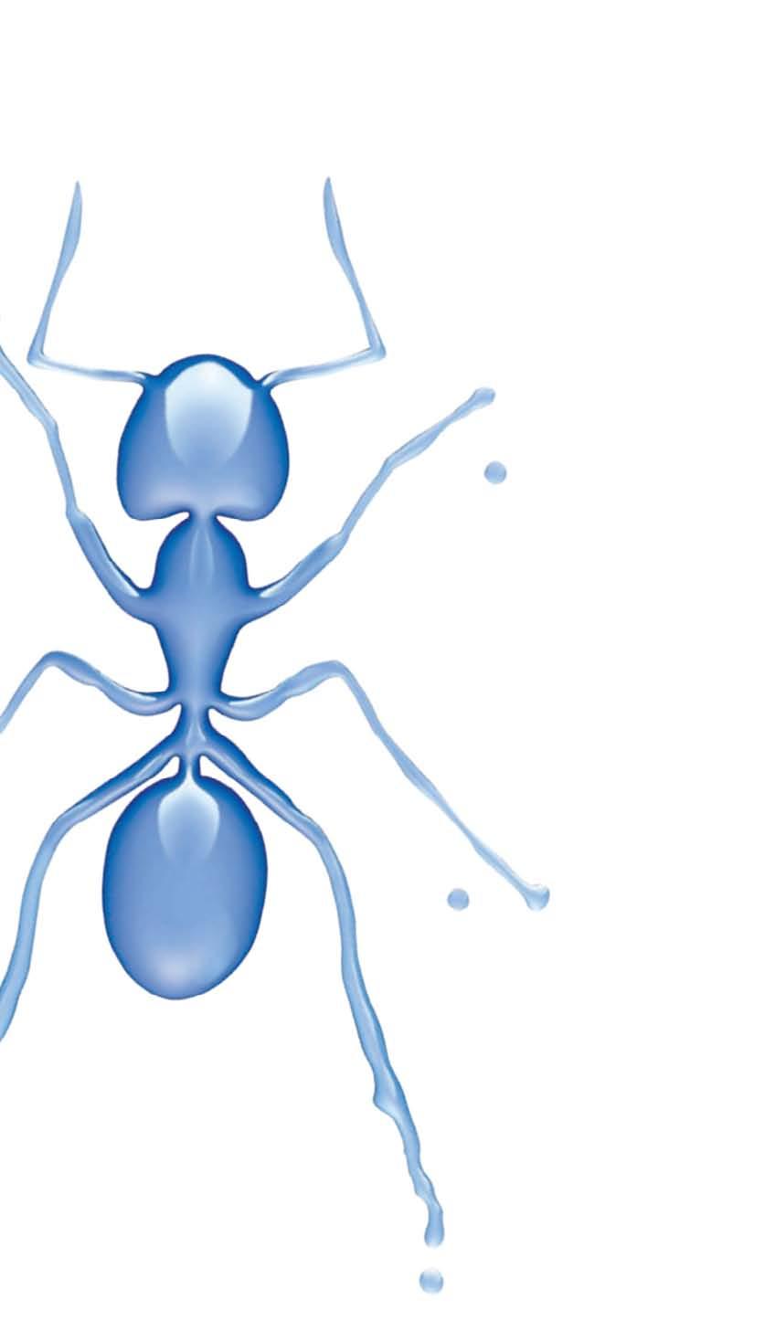 Problematika mravenců Chytrá řešení BASF Mravenci jsou v sezóně jedním z nejčastějších důvodů, proč si lidé zvou domů k zásahu profesionály.