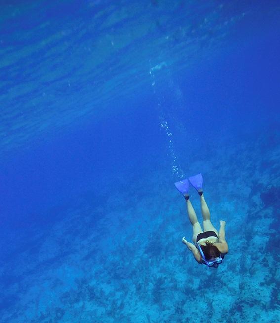 Sportovní aktivity Přehled sportovních aktivit zahrnutých ve Vašem balíčku Šnorchlování Scuba Diving* Škola plachtění Nově Kite surfing Škola Windsurfingu Škola