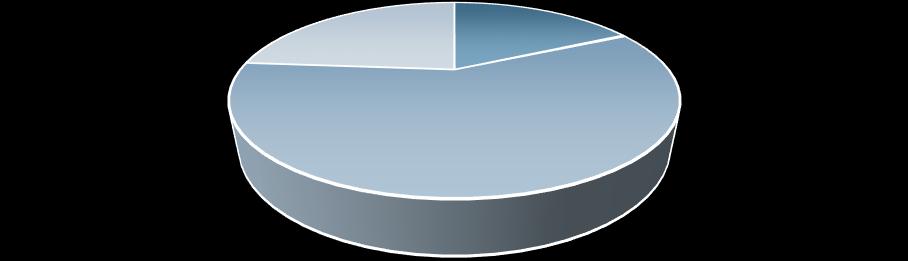 Str. 08 VÝROČNÍ ZPRÁVA 2018 muž 24% Kontaktující: