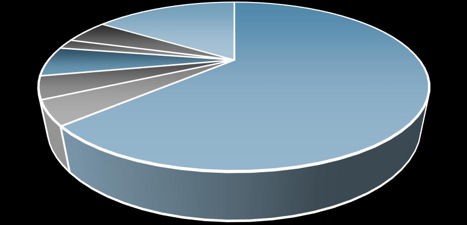 příbuzného 2% dítěte 6% rodiče 4% partnera 4% Krizová