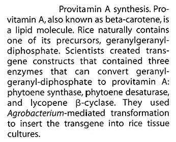 GENE CHAIN genový řetěz