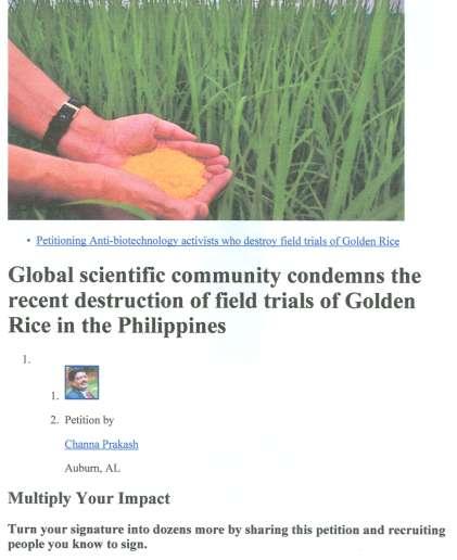 NIČENÍ POKUSNÝCH POLÍ s GOLDEN RICE na FILIPINÁCH pokusy International Rice Research Institute a Phillipine Department of Agriculture PILI, Camarines Sur Aktivisté: Peasant Movement of the