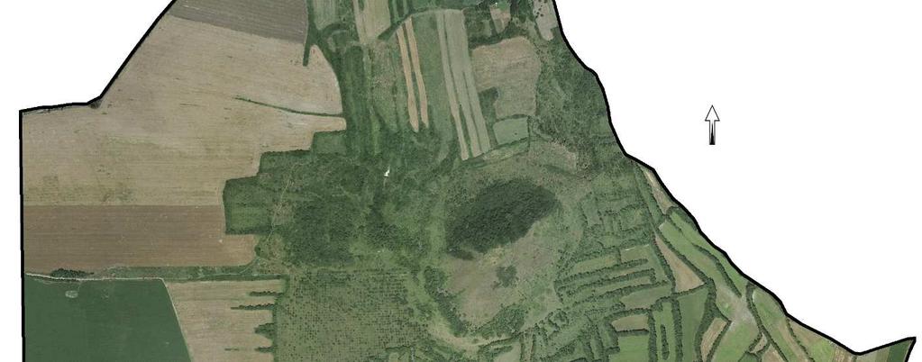 Příloha