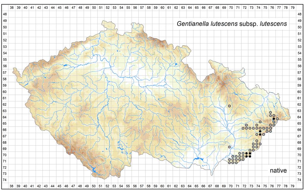 Distribution of Gentianella lutescens subsp.