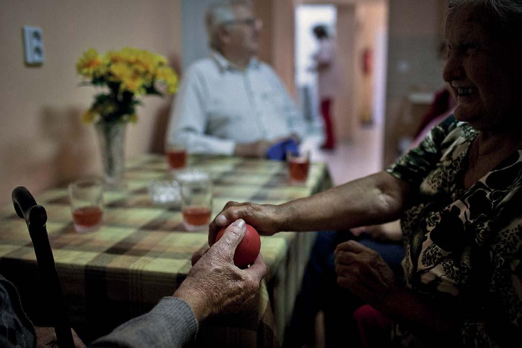 Vize do budoucnosti Vize do budoucnosti Naše vize směřují k vybudování velmi kvalitního zařízení, které bude mít dobré jméno nejen v regionu, ale bude i respektovanou značnou u ostatních