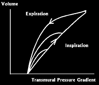 Faktory determinující velikost hystereze Dechový objem Transpulmonální tlak Interakce na rozhraní