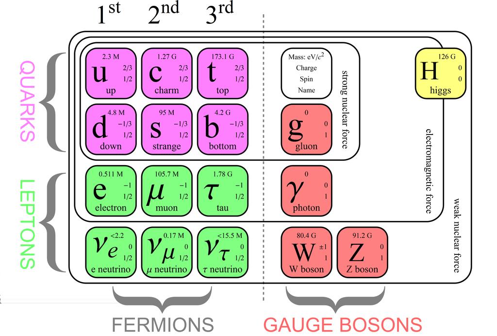 an asymptotic freedom and gives rise to a quark-gluon plasma state. The electromagnetic interaction is mediated by a photon (γ) which is also massless and thus the EM force has an infinite range.