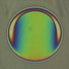 Vertical (y-axis) position (µm) Film thickness