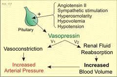 Vazopresin a analoga vazopresin =