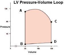 End-Systolic Pressure Volume Relationship EA =