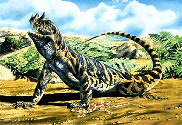 podepřené trnovými výběžky obratlů (Dimetrodon); v permu 70% amniot, ale extinkce již v permu, jednalo se asi o parafyletickou skupinu + Edaphosauridae (velcí herbivoři) a Shenacodontidae (velcí