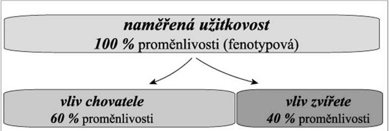 Kolik %