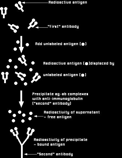 Ab-Ag pomocí sekundární Abs Radioaktivita v supernatantu