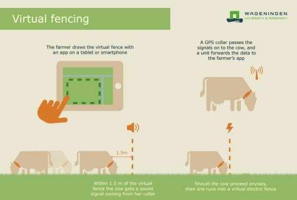 Virtuální oplocení (Virtual fencing) Umožňuje využít plný potenciál travních porostů, šetří náklady, energii a čas. Sestává z GPS obojku napájeného solárním panelem a digitálně nastavenou hranicí.