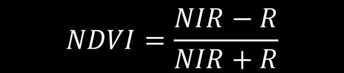 Normalized Differential Vegetation Index NDVI TM 4 TM 4 TM 3 TM 3 NDVI NDVI navržen pro data Landsat MSS (1974), i jiné senzory odděluje zelenou vegetaci od půdy AVHRR 2 AVHRR 2 vyšší hodnoty