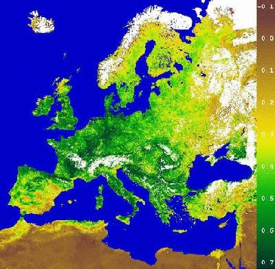 NDVI in