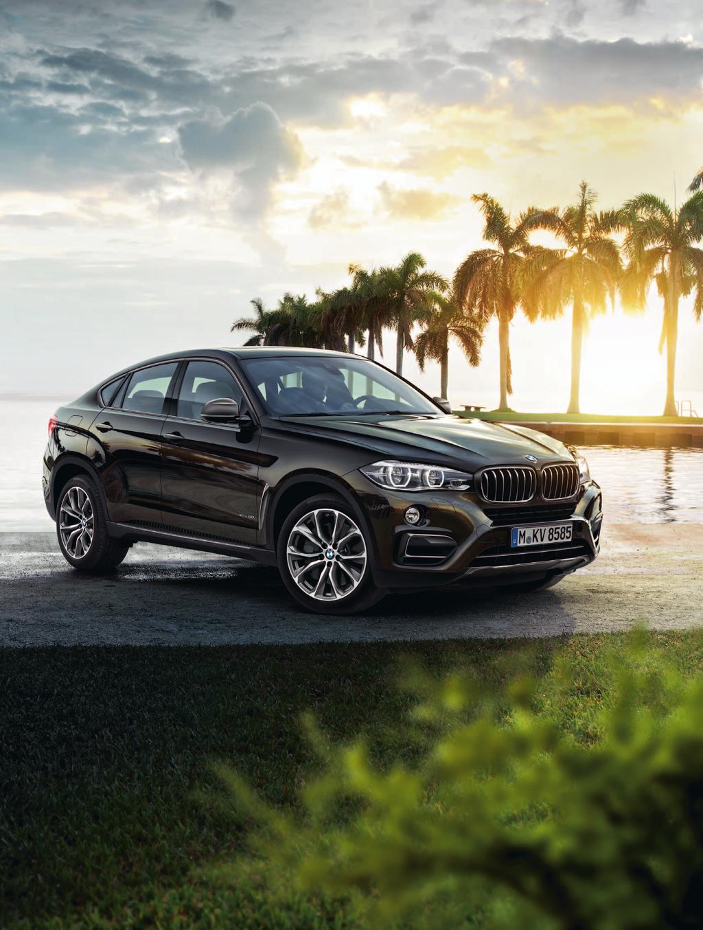 BMW X6.