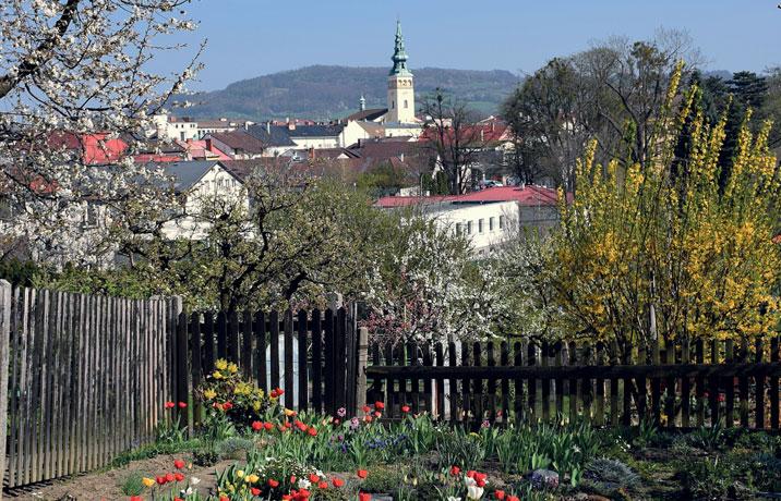 Fotosoutěž čtenářů 97. kolo Jestliže v předminulém kole v zaslaných snímcích ještě výrazně dominovala zima, tentokrát bodují náměty s počínajícím, ale už i plně rozkvetlým jarem.