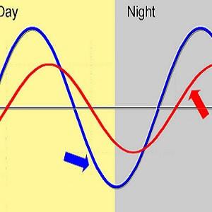 ENDOGENNÍ RYTMICITA - PATOLOGICKÁ DISRUPCE CIRKADIANNÍ RYTMY Melatonin