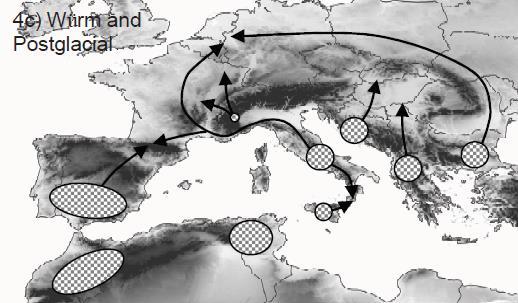 Živa 2/2004 Zahrnutí genetiky: Zkoumány především