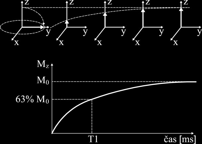Tato konstanta závisí na sloţení měřené tkáně a intenzitě vnějšího magnetického pole. [1][4] Vztah velikosti vektoru podélné magnetizace na čase a rychlosti relaxace je [5] ( ) ( ( ) ) (6) Obr.