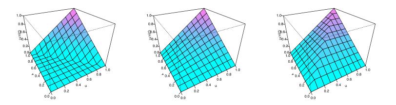 Obrázek 4.1: P íklady nepodmín ných kopulí. Nalevo je znázorn na tzv. minimální kopule, tedy kopule denovaná vztahem C 1 (u 1, u ) = max{u 1 + u 1, 0}.