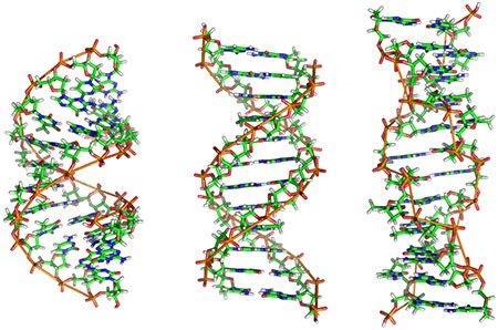 Korekce chyb a skládání genomu Sekvenování Trifolium pratense (Jetel luční) partner: Ústav experimentální biologie PřF MU cíl: optimalizace dostupných nástrojů pro skládání a opravy chyb v DNA kódech
