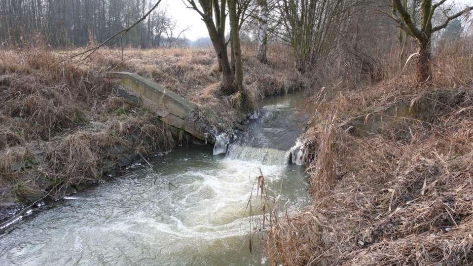 koryto je