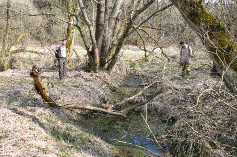 podmínky umožňují povést revitalizaci poměrně snadno a docílit tak významných efektů (jsou k