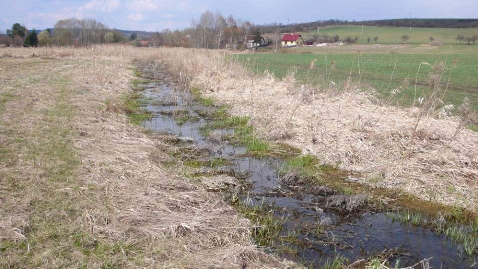 upravené koryto jeví sklon k zanášení a zarůstání (včetně úseků s