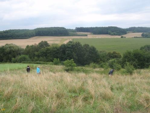 Nejlepší realizované společné zařízení roku 2014 II. Kategorie - Protierozní a vodohospodářská opatření 1.