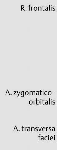 temporalis; rr. glandulares a.