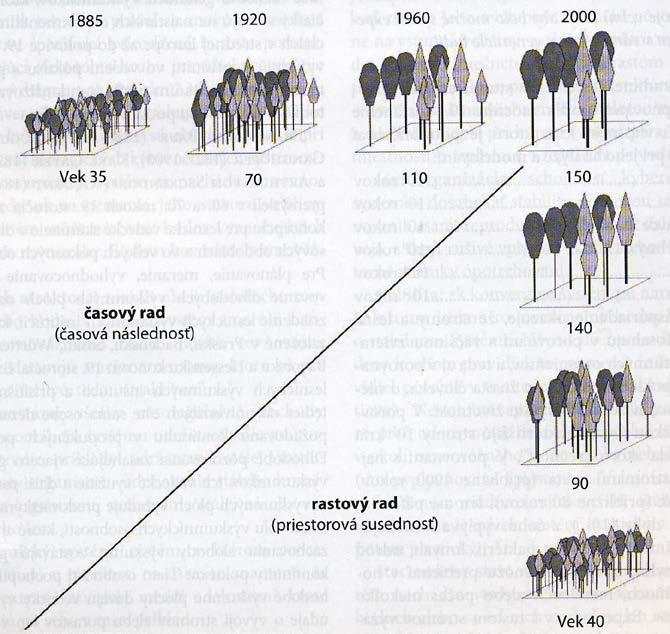 Les jako dlouhověký systém velký vliv na výzkum vývoje lesa ( nutné dlouhodobé pokusy zakládání trvalých zkusných ploch) vývoj lesa se zkoumá na růstových řadách pravých a nepravých růstová