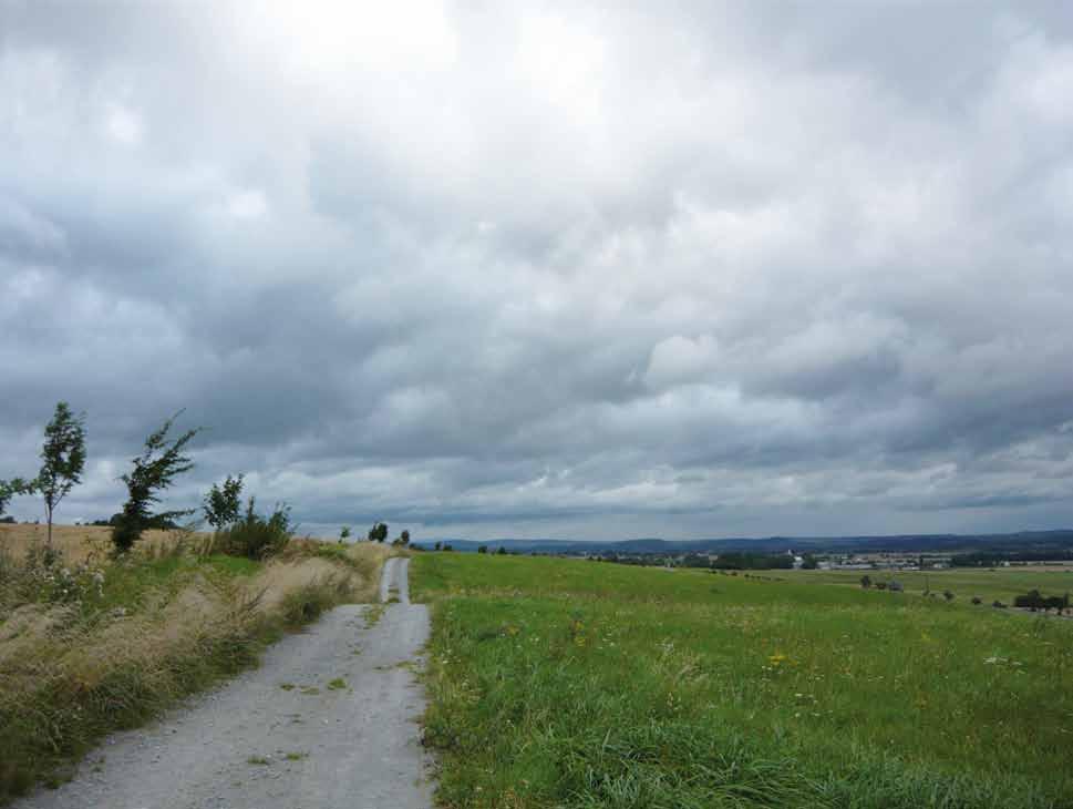 a o vedení fotokroužku pro děti i dospělé.