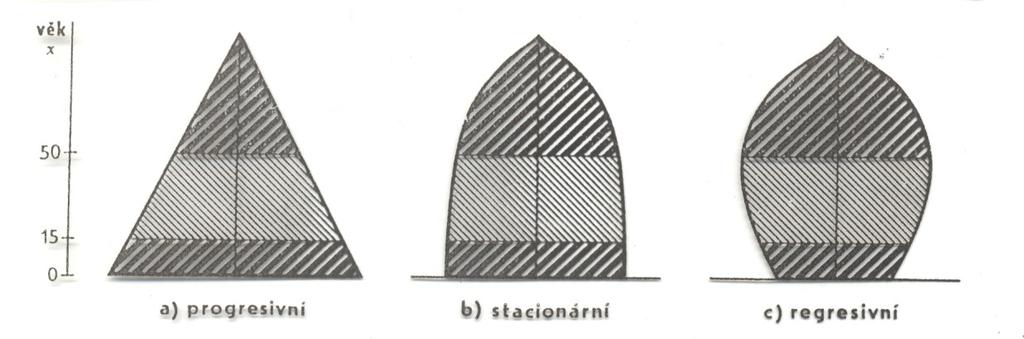 polovině 19. století, vidíme, ţe je pro ně typická značná pravidelnost tvaru věkové struktury. Tato pravidelnost vedla A. G.