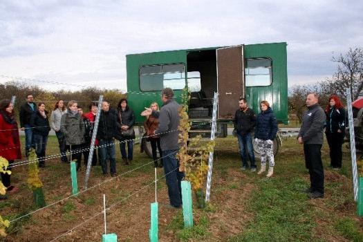 7 regionální produkt garantuje zejména původ výrobků z Vysočiny a jeho jedinečnost vyplývající z vazby na tento region (tradice, místní suroviny, ruční výroba apod.