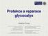 Protekce a reparace glycocalyx