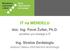 IT na MENDELU. doc. Ing. Pavel Žufan, Ph.D. Ing. Stratos Zerdaloglu. prorektor pro strategii a IT. vedoucí Ústavu informačních technologií