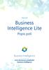 Business Intelligence Lite