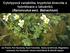 Cytotypová variabilita, kryptická diverzita a hybridizace u lakušníků (Ranunculus sect. Batrachium)