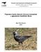 Populace kavky obecné (Corvus monedula) v aglomeraci Havlíčkův Brod