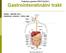 Podpořeno grantem FRVŠ 524/2011 Gastrointenstinální trakt. Gaster - ţaludek (řec.) Intestinum, enterum střevo (lat)