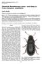 Větevníček Pseudochoragus piceus nový druh pro Čechy (Coleoptera: Anthribidae)
