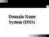 Domain Name System (DNS)