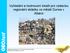 Vyhledání a hodnocení lokalit pro výstavbu regionální skládky ve městě Durres v Albánii