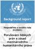 Hospodářská a sociální rada (ECOSOC) Porušování lidských práv a zásad mezinárodního humanitárního práva