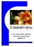 V dobre m tonu. e-zin obc anskeho sdruzenı zdravotný postizenych ORFEUS. roc nık paty, rok 2007, mýsıc kvýten, cıslo 3