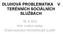 DLUHOVÁ PROBLEMATIKA TERÉNNÍCH SOCIÁLNÍCH SLUŽBÁCH. 16. 4. 2013 PhDr. Jindřich Kadlec ČESKÁ ASOCIACE PEČOVATELSKÉ SLUŽBY