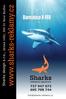 Barevnice X-FER. Sharks design s.r.o., Jánská 1481, 504 01 Nový Bydžov. info@sharks-reklamy.cz